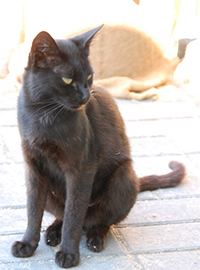 DSC_0618.jpg